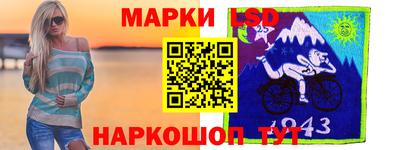 прущие грибы Будённовск
