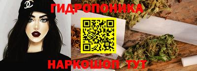прущие грибы Будённовск