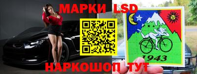 прущие грибы Будённовск